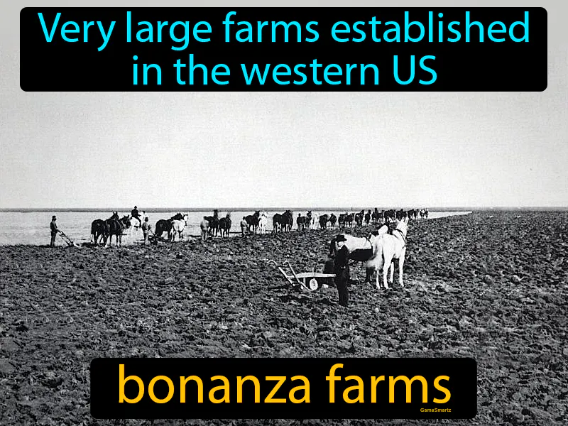Bonanza Farms Definition