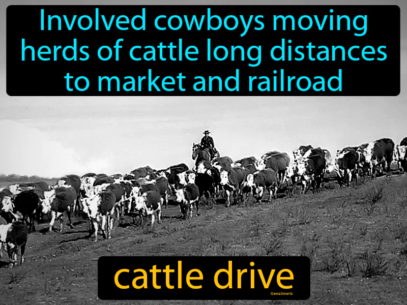 Cattle Drive Definition Cattle Drive Definition