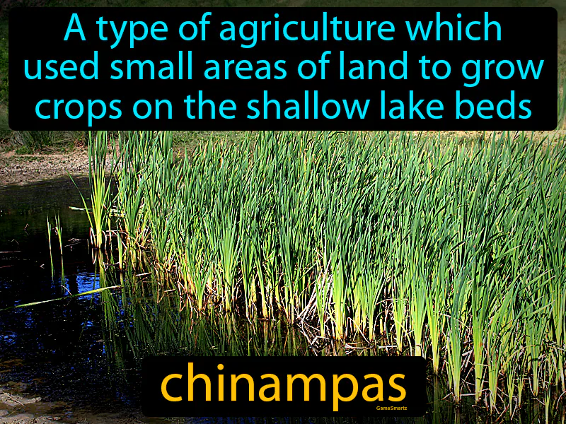 Chinampas Definition Chinampas Definition