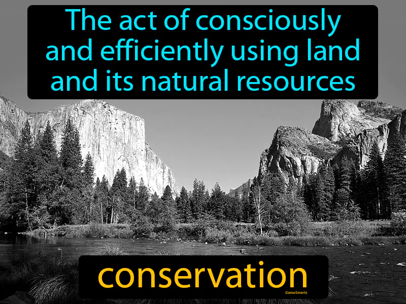 Conservation Definition Conservation Definition