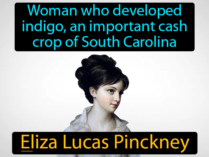 Eliza Lucas Pinckney Definition Eliza Lucas Pinckney Definition