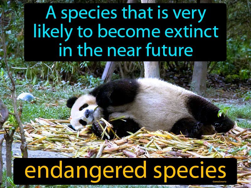 Endangered Species Definition Endangered Species Definition