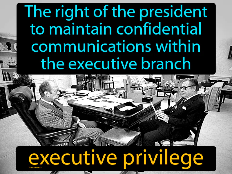 Executive Privilege Definition