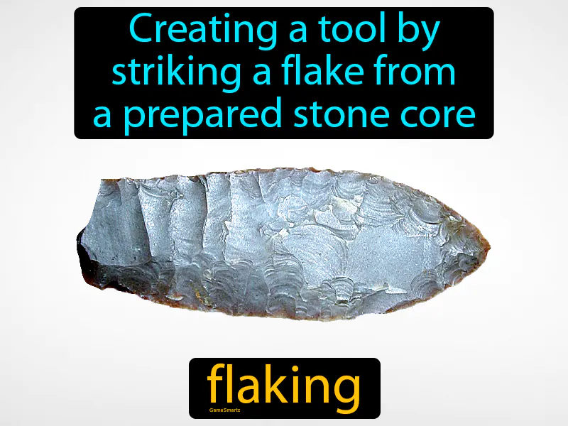 Flaking Definition Flaking Definition