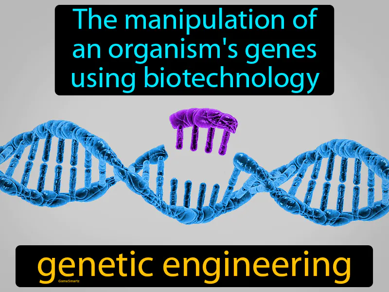 Genetic Engineering Definition Genetic Engineering Definition