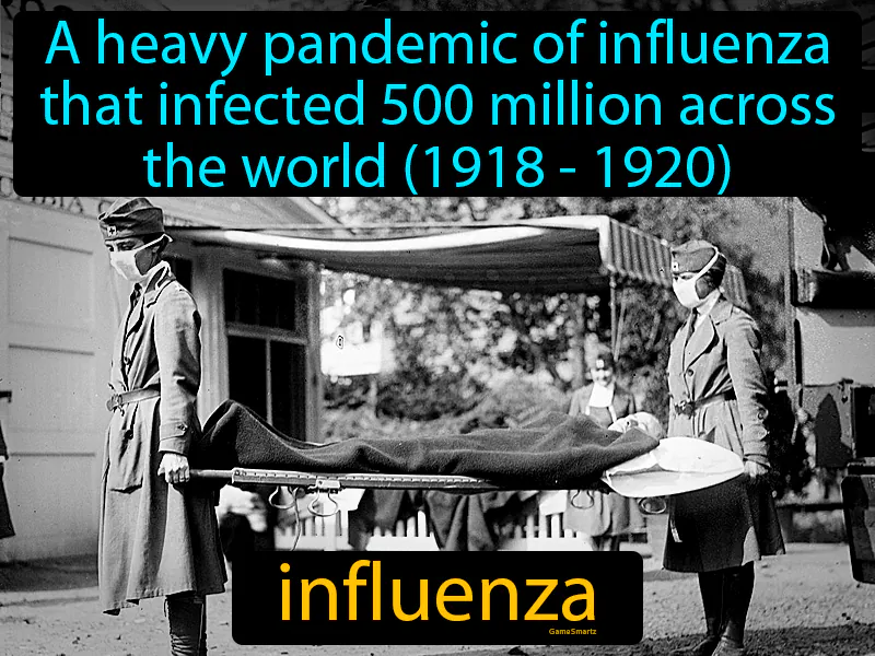 Influenza Definition Influenza Definition