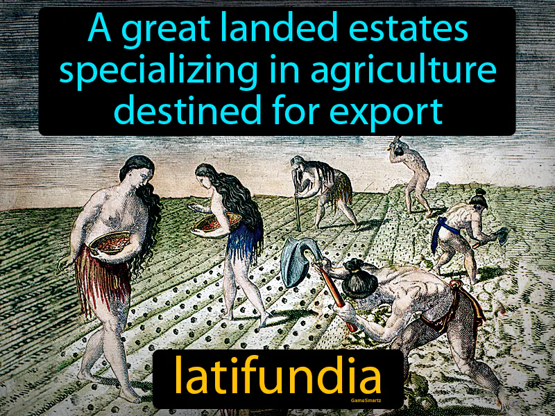 Latifundia Definition