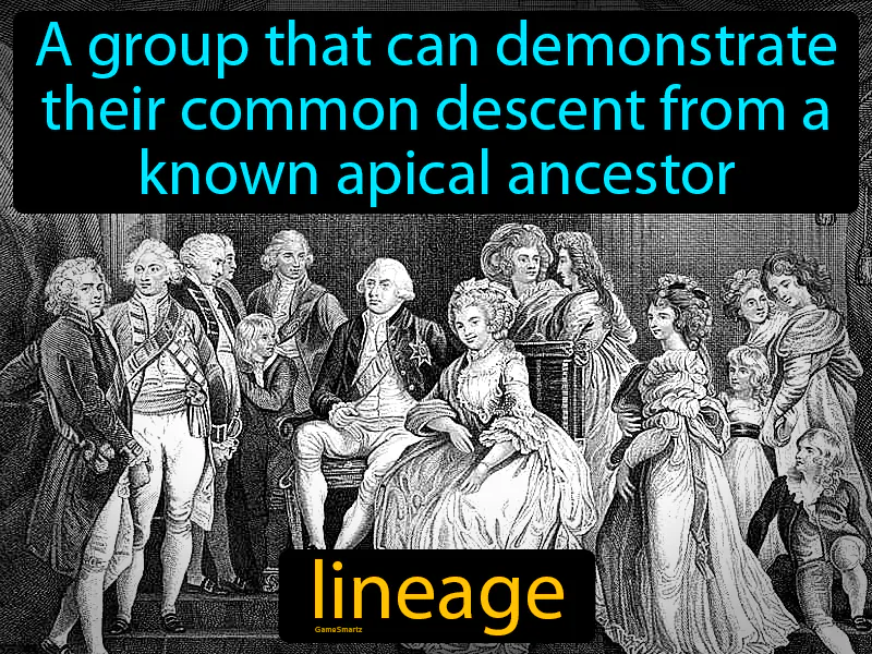 Lineage Definition Lineage Definition