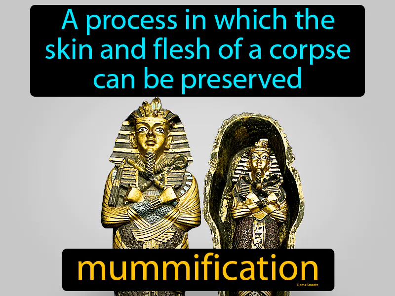 Mummification Definition Mummification Definition
