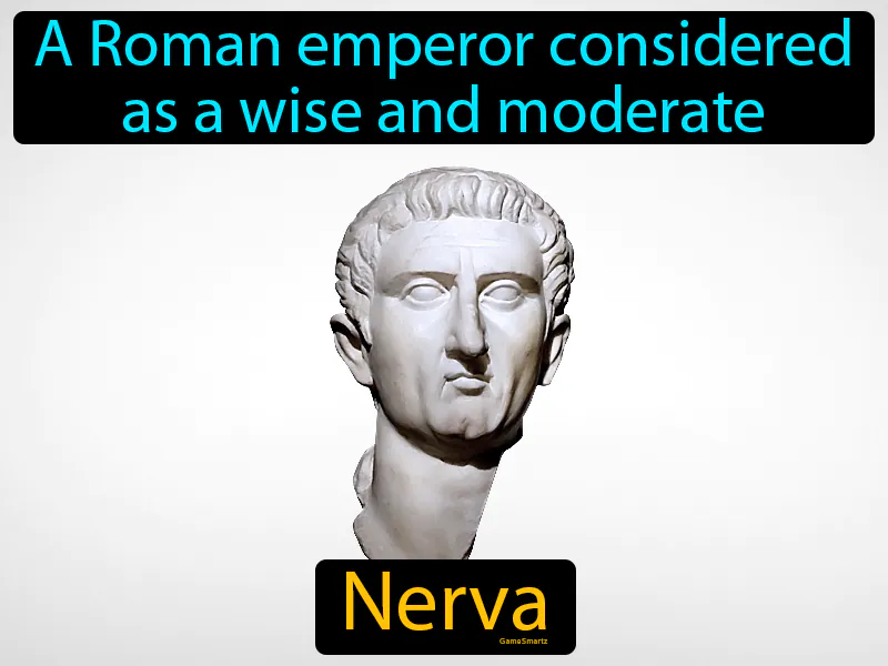 Nerva Definition Nerva Definition