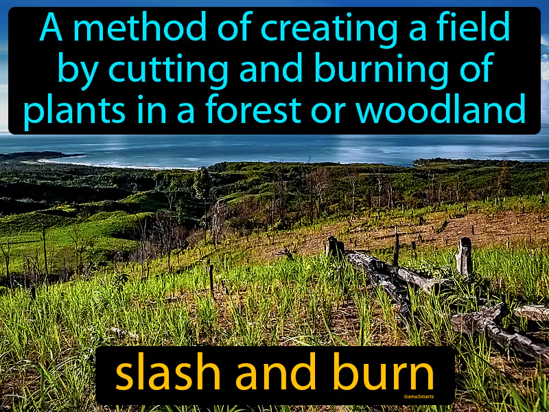 Slash And Burn Definition Slash And Burn Definition