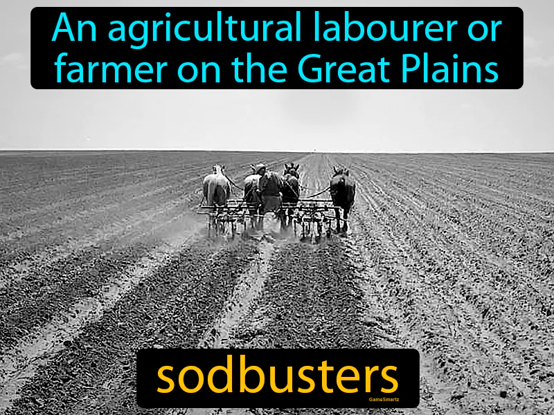 Sodbusters Definition Sodbusters Definition