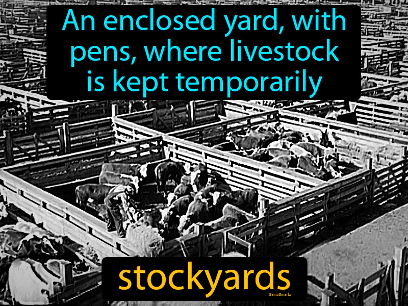 Stockyards Definition Stockyards Definition