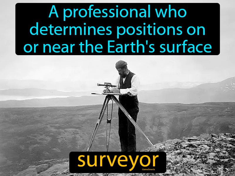 Surveyor Definition Surveyor Definition