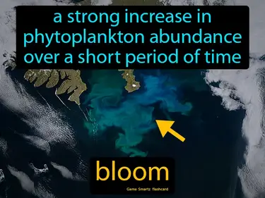 Nonpoint Source Pollution