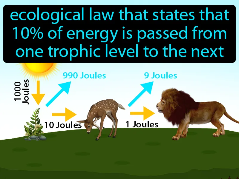 10 Percent Rule Definition 10 Percent Rule Definition