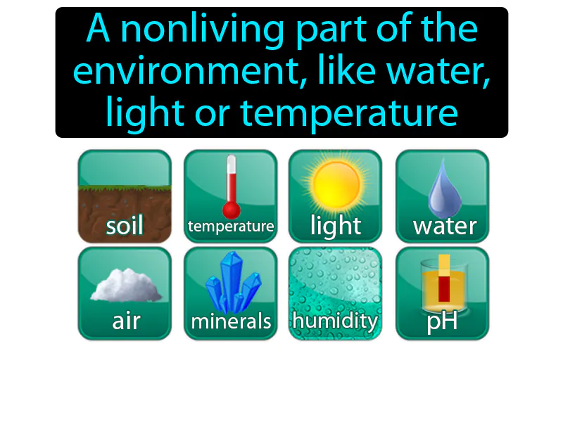 Abiotic Factor Definition Abiotic Factor Definition