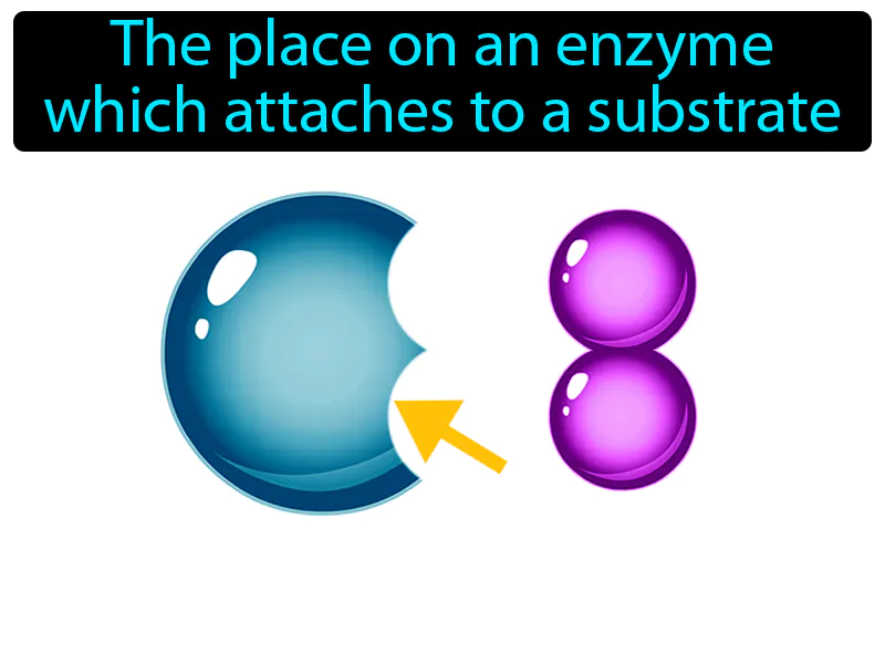 Active Site Definition Active Site Definition