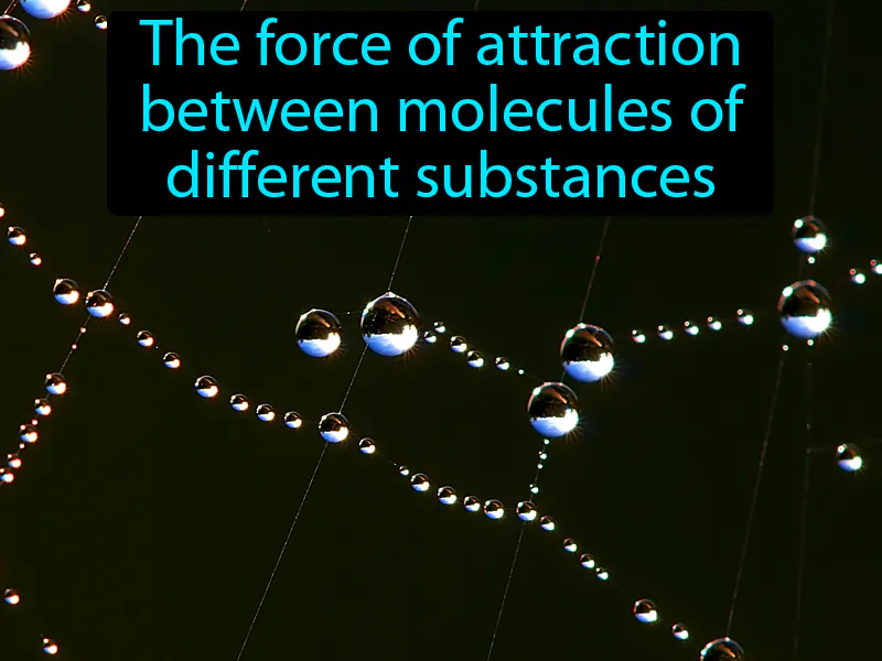 Adhesion Definition Adhesion Definition