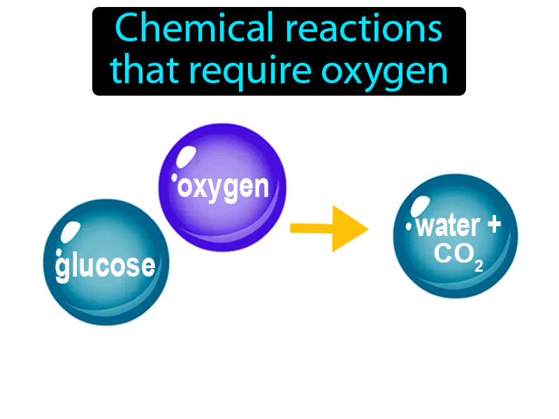 Aerobic Definition Aerobic Definition