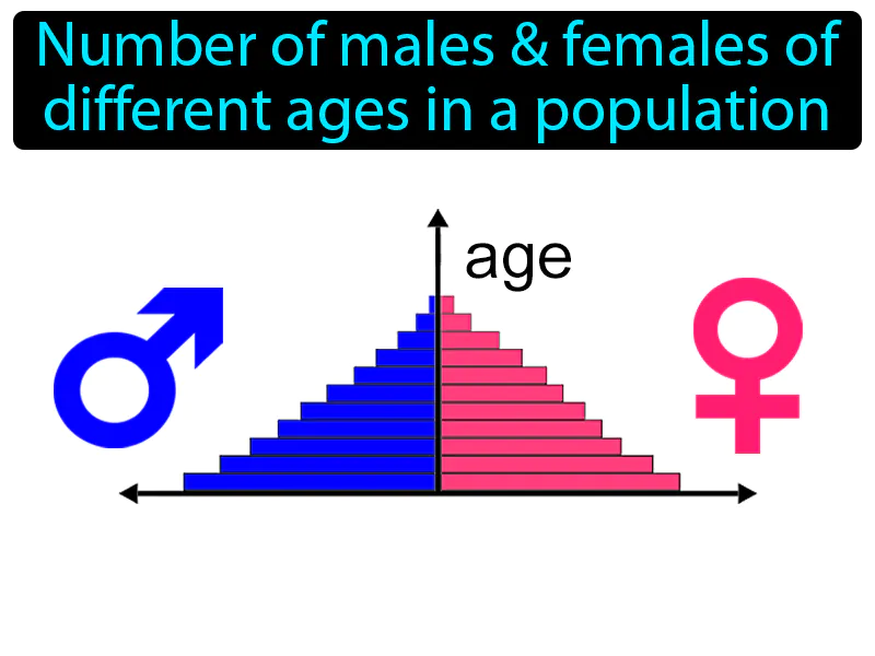 Age Structure Definition Age Structure Definition
