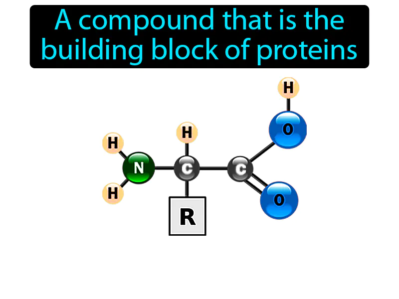 Amino Acid Definition Amino Acid Definition