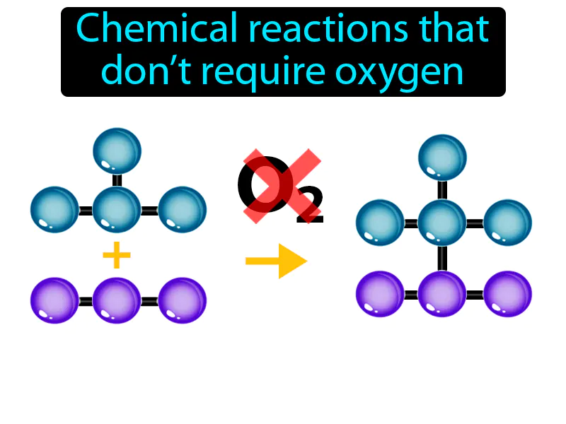 Anaerobic Definition Anaerobic Definition
