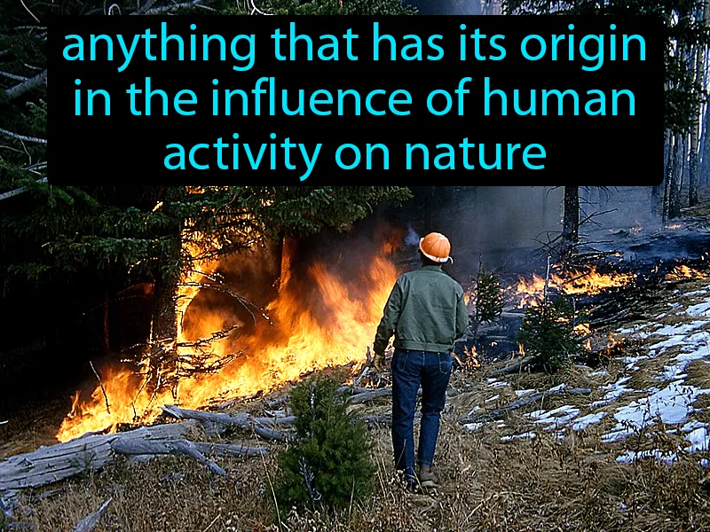 Anthropogenic Definition Anthropogenic Definition