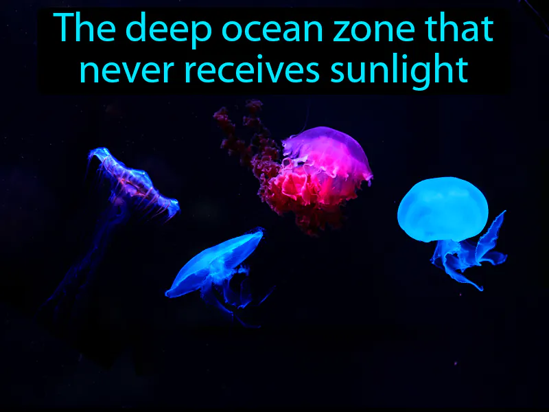 Aphotic Zone Definition Aphotic Zone Definition