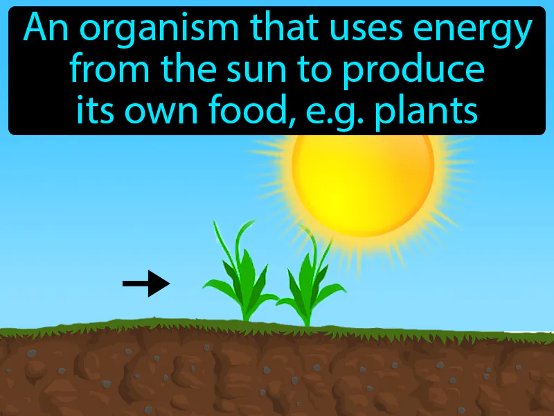 Autotroph Definition Autotroph Definition
