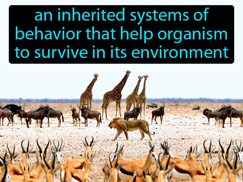 Behavioral Adaptation Definition Behavioral Adaptation Definition