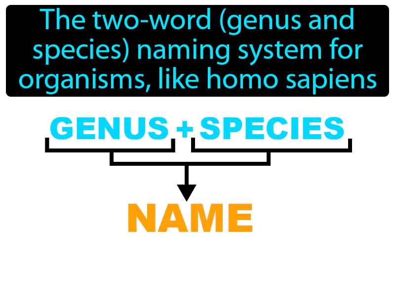 Binomial Nomenclature Definition Binomial Nomenclature Definition