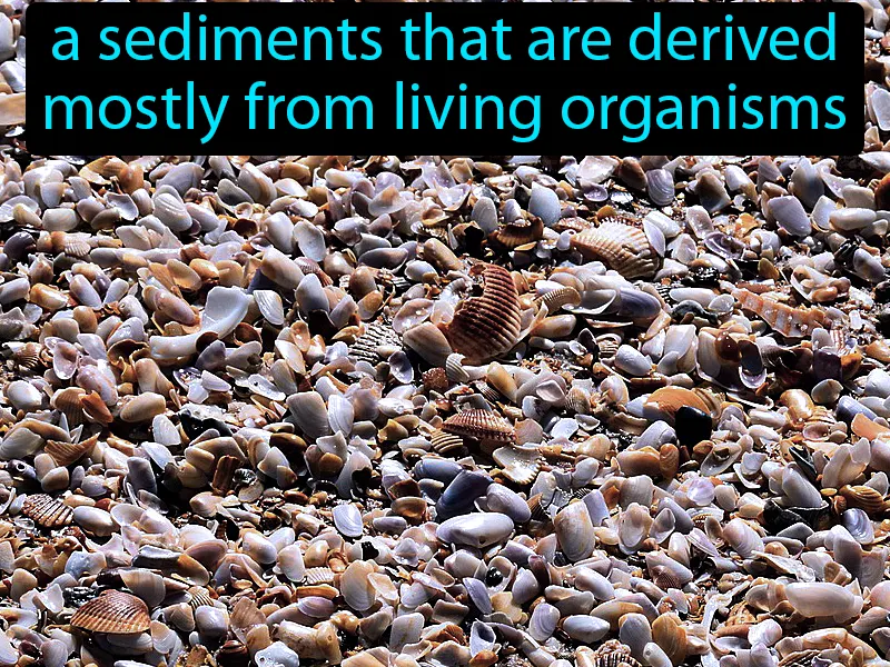 Biogenous Definition Biogenous Definition