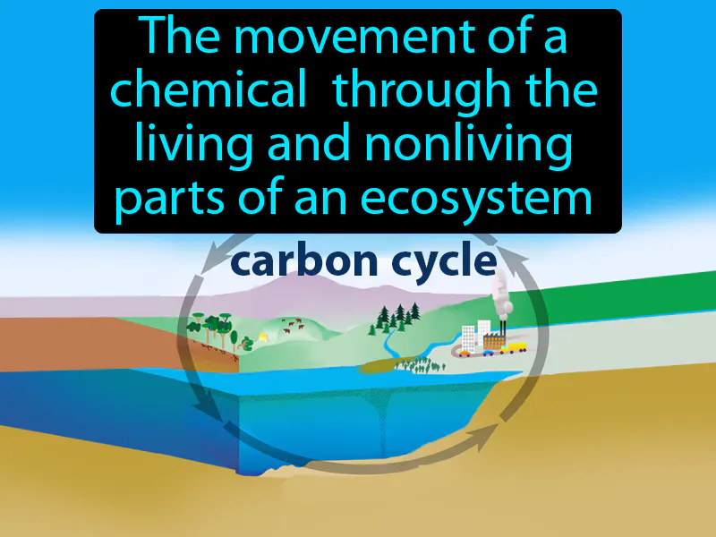 Biogeochemical Cycle Definition Biogeochemical Cycle Definition