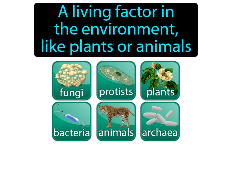 Biotic Factor Definition Biotic Factor Definition