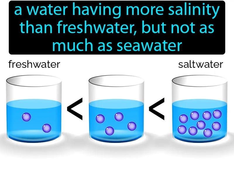 Brackish Definition Brackish Definition