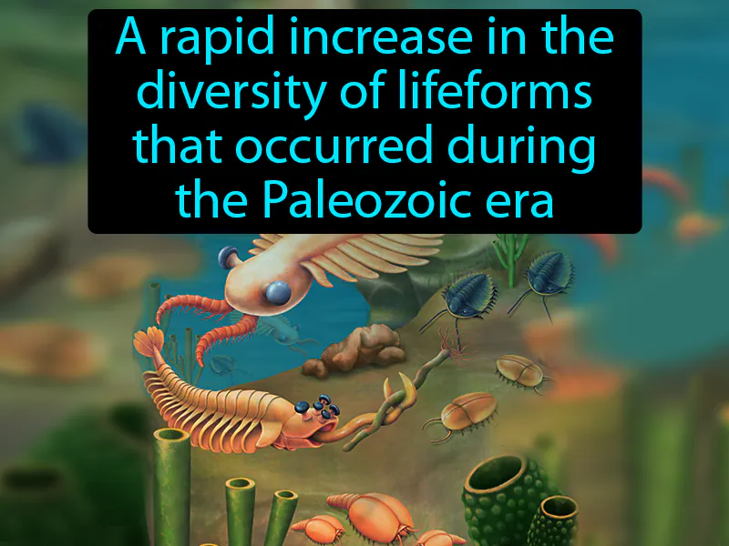 Cambrian Explosion Definition Cambrian Explosion Definition