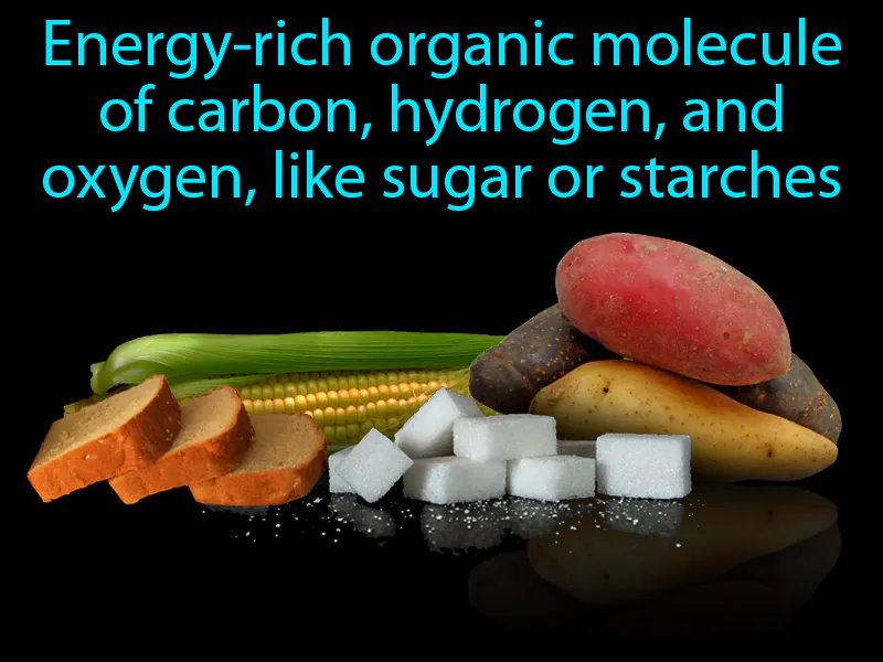 Carbohydrate Definition Carbohydrate Definition
