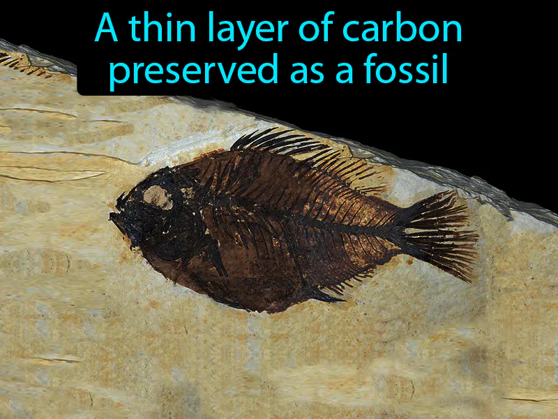 Carbon Film Definition Carbon Film Definition