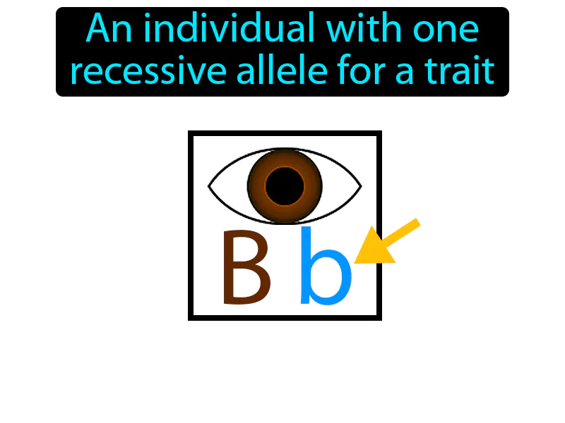 Carrier Definition Carrier Definition