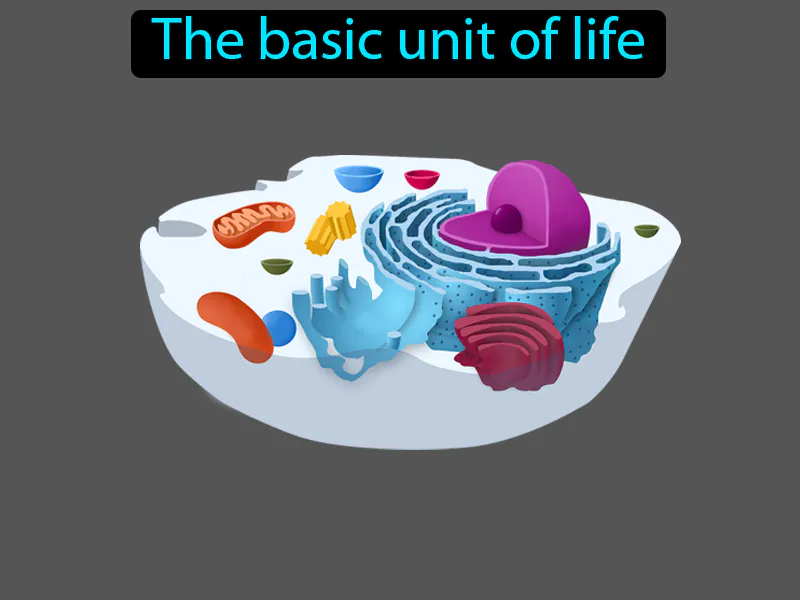 Cell Definition Cell Definition