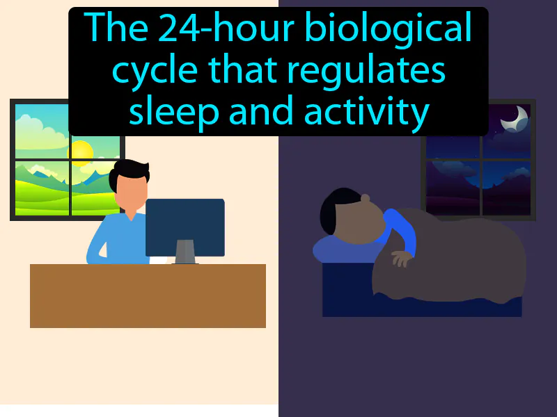 Circadian Rhythm Definition Circadian Rhythm Definition