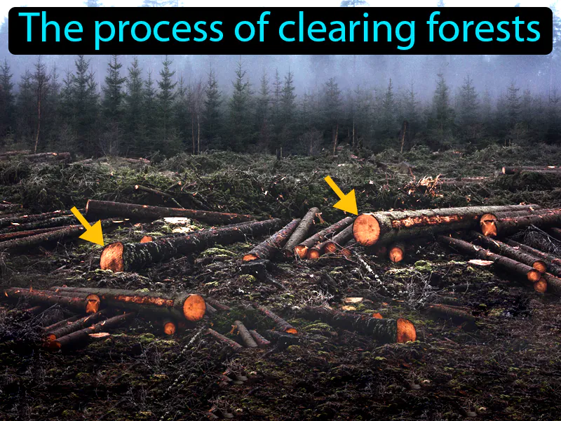 Deforestation Definition Deforestation Definition