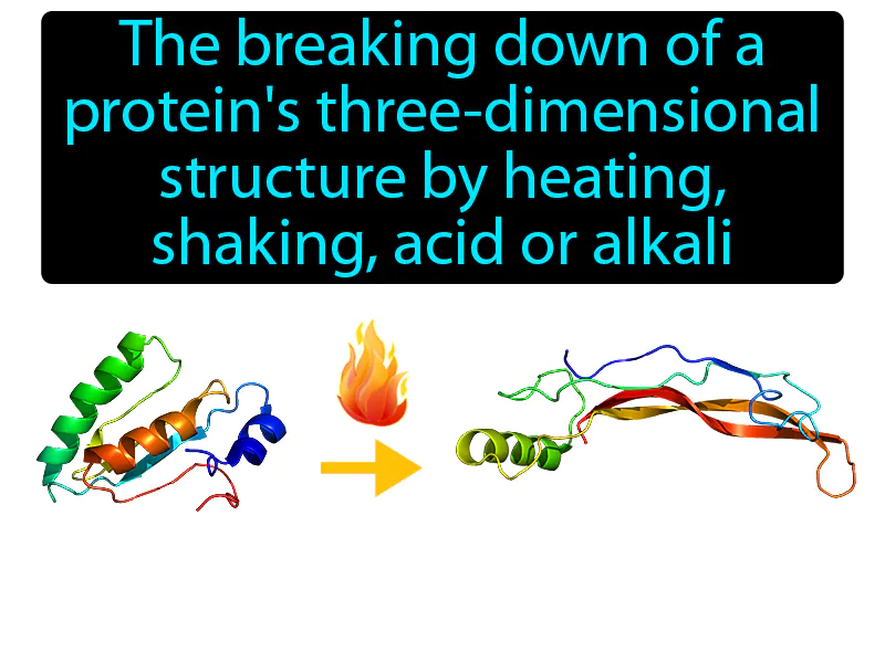Denaturation Definition Denaturation Definition