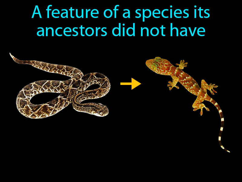 Derived Character Definition Derived Character Definition