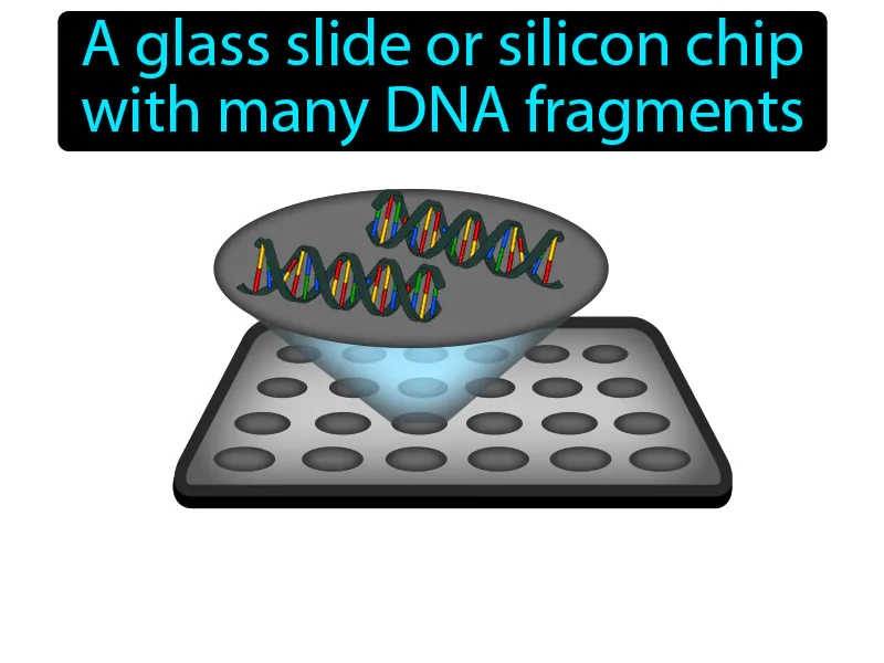 DNA Microarray Definition DNA Microarray Definition