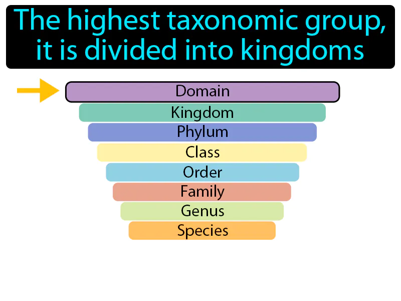 Domain Definition Domain Definition