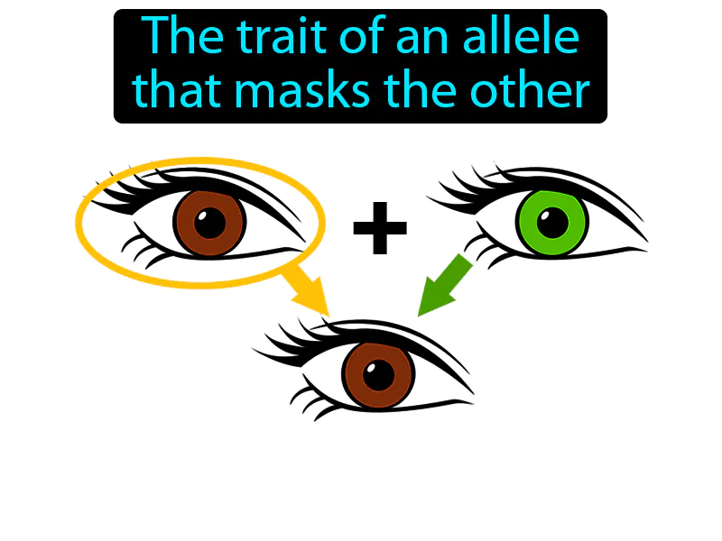 Dominant Trait Definition Dominant Trait Definition