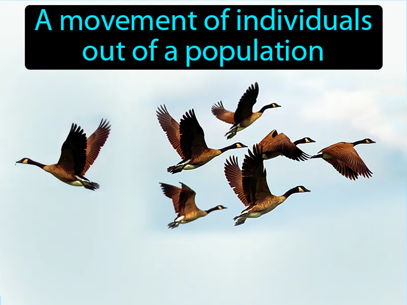 Emigration Definition Emigration Definition