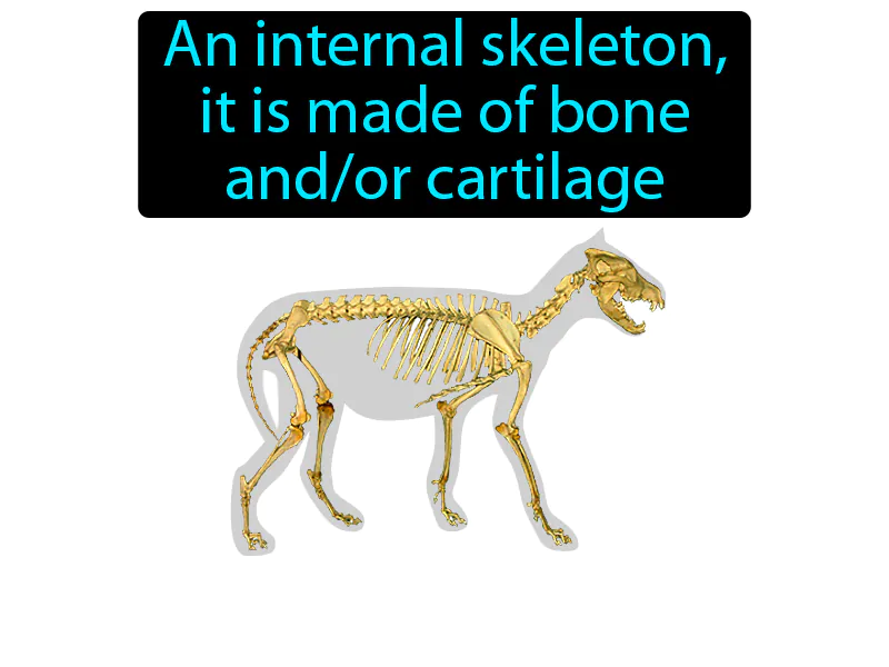Endoskeleton Definition Endoskeleton Definition